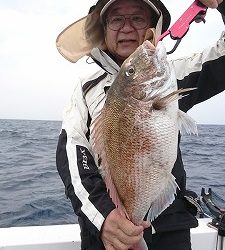 海龍丸（福岡） 釣果