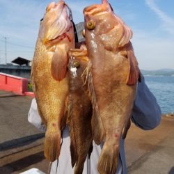 オーフリー 釣果