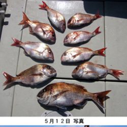 来温丸(らいおんまる) 釣果