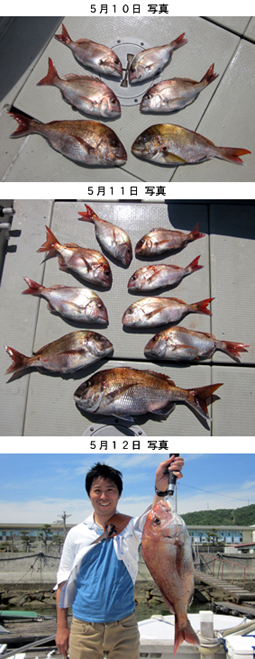 来温丸（らいおんまる） 釣果