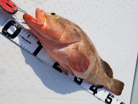 オーフリー 釣果