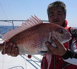 海龍丸（福岡） 釣果