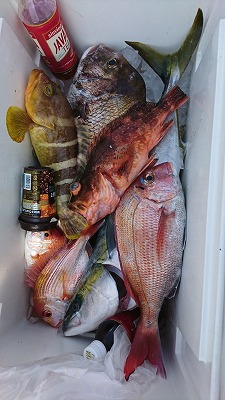 海龍丸（福岡） 釣果