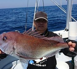海龍丸（福岡） 釣果