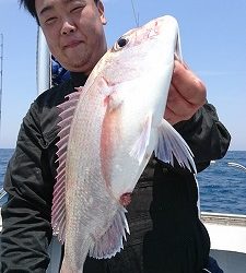 海龍丸（福岡） 釣果