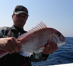 海龍丸（福岡） 釣果