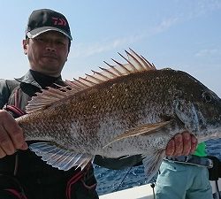 海龍丸（福岡） 釣果