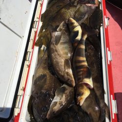 第八平成丸 釣果