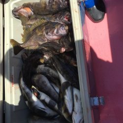 第八平成丸 釣果