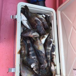 第八平成丸 釣果