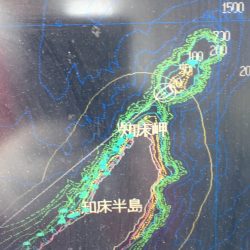 第八平成丸 釣果