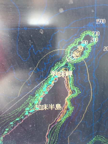 第八平成丸 釣果