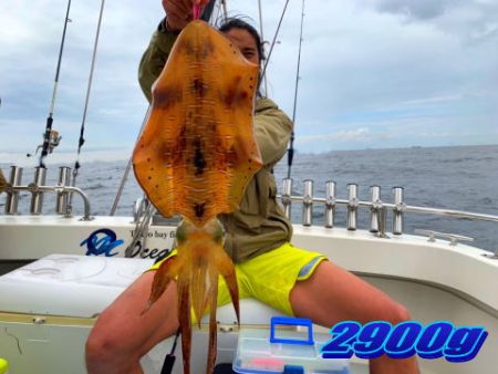 オーシャンマスター 釣果