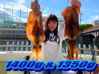 オーシャンマスター 釣果