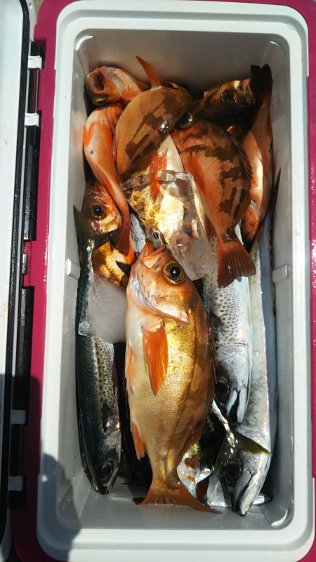 モンロー号 釣果