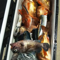 モンロー号 釣果