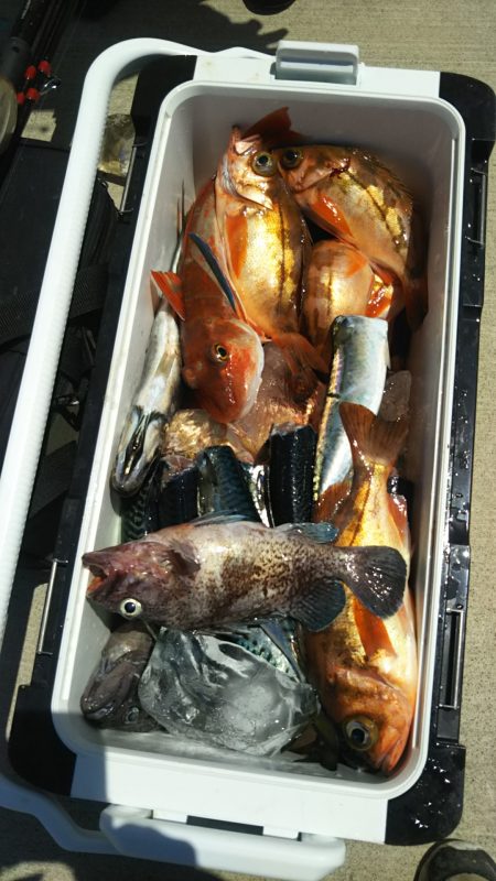 モンロー号 釣果