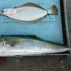 明神釣船 釣果