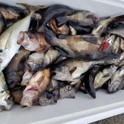 オーフリー 釣果