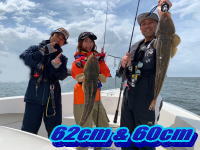 オーシャンマスター 釣果