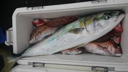 オーフリー 釣果