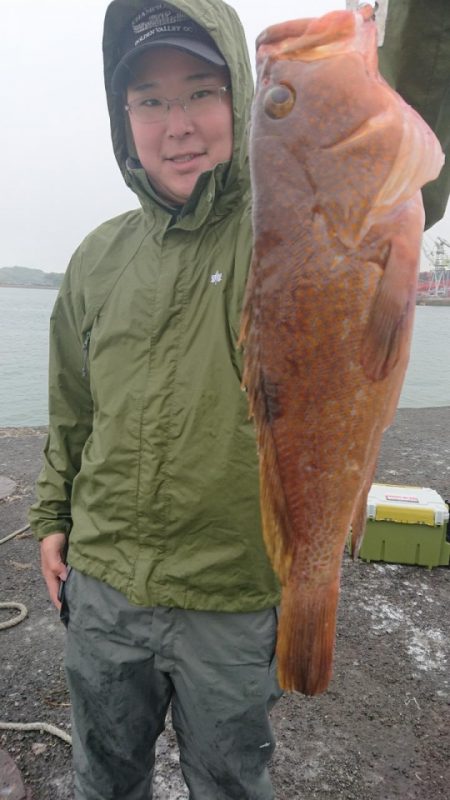 オーフリー 釣果