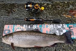 フィッシング サンクチュアリ 釣果