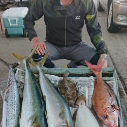 明神釣船 釣果