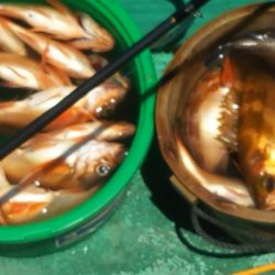 モンロー号 釣果