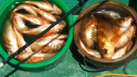 モンロー号 釣果