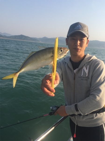 マタウマリンサービス 釣果