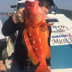 マタウマリンサービス 釣果