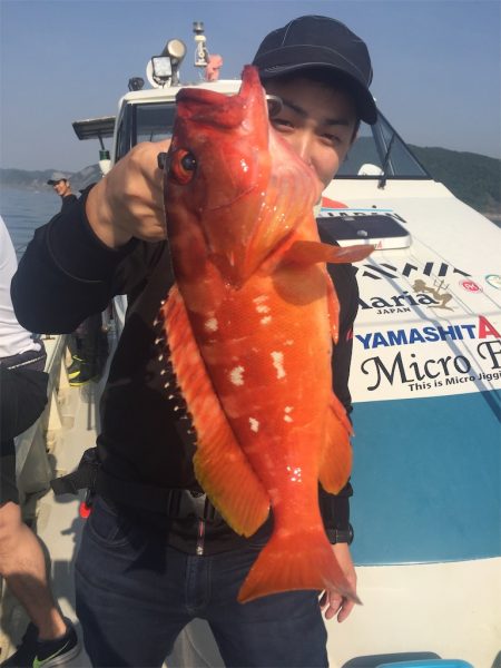 マタウマリンサービス 釣果