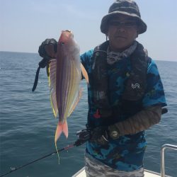 マタウマリンサービス 釣果