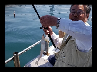 内浜丸 釣果