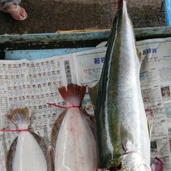明神釣船 釣果