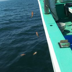 モンロー号 釣果