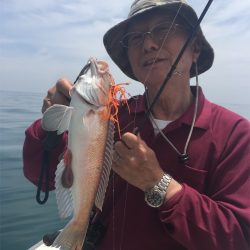 マタウマリンサービス 釣果