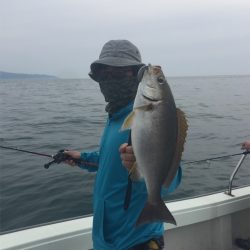 マタウマリンサービス 釣果