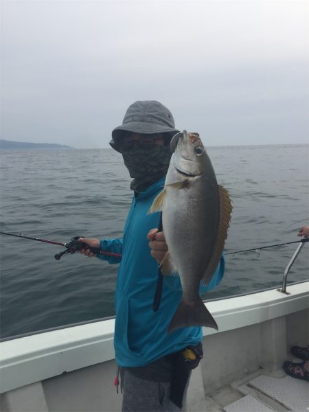 マタウマリンサービス 釣果