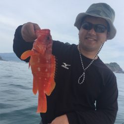 マタウマリンサービス 釣果