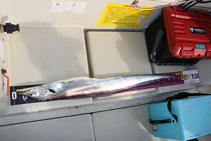 松本釣船２ 釣果