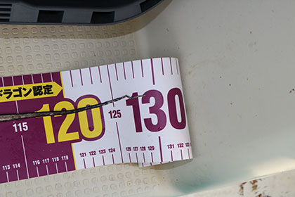 松本釣船２ 釣果