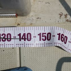 松本釣船２ 釣果