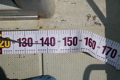 松本釣船２ 釣果