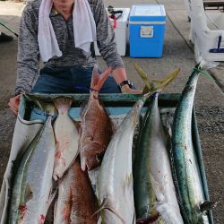 明神釣船 釣果