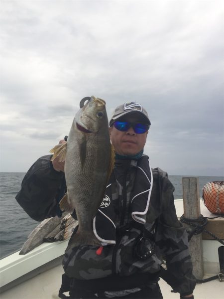 マタウマリンサービス 釣果