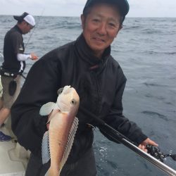 マタウマリンサービス 釣果