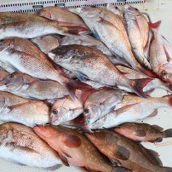 松本釣船2 釣果