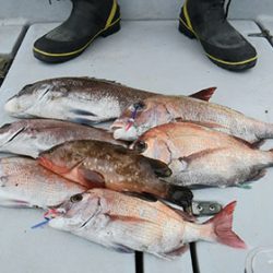 松本釣船2 釣果